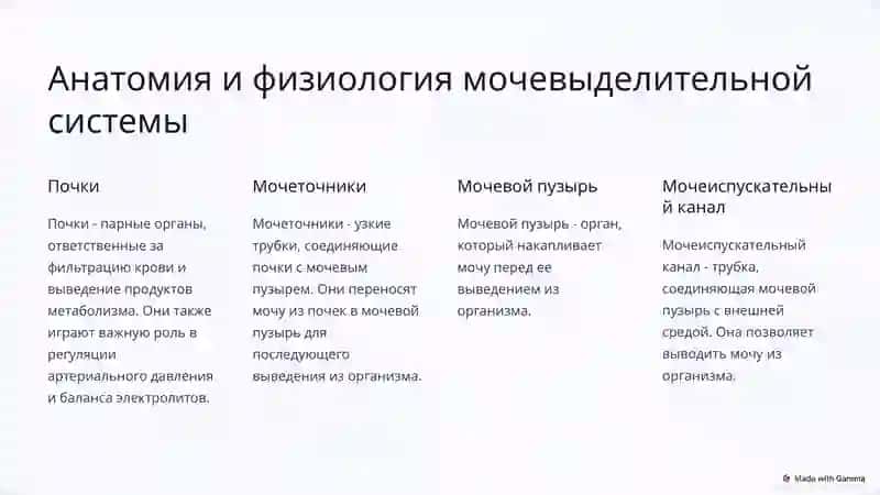 Образование уратных камней в почках, принципы лечения 2