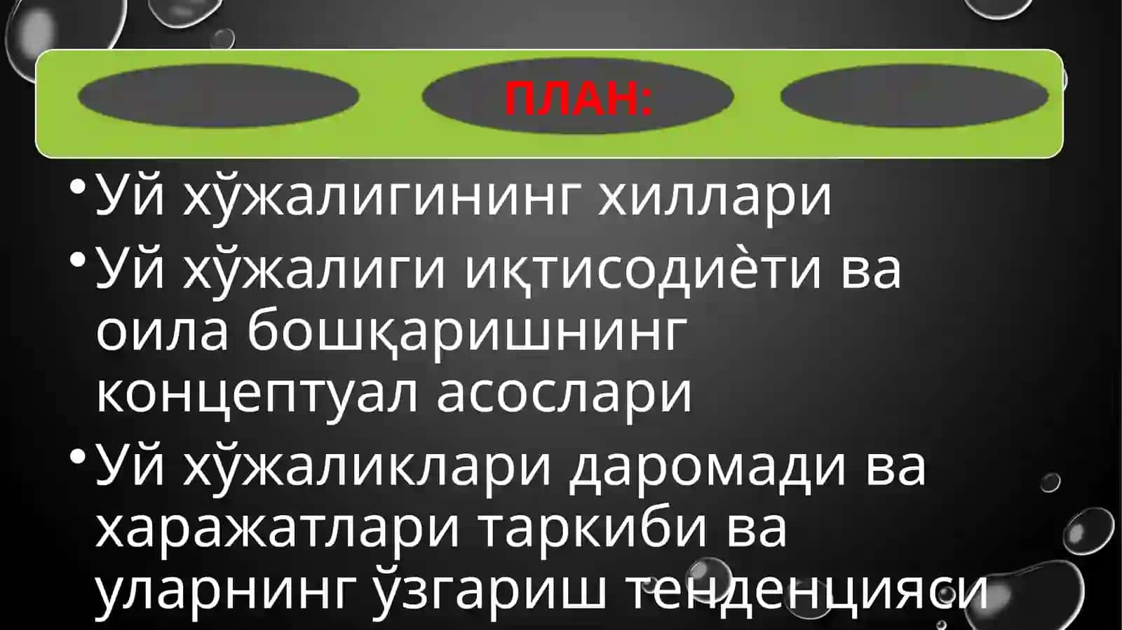 Теоретические основы домашнее хозяйство и развития 2