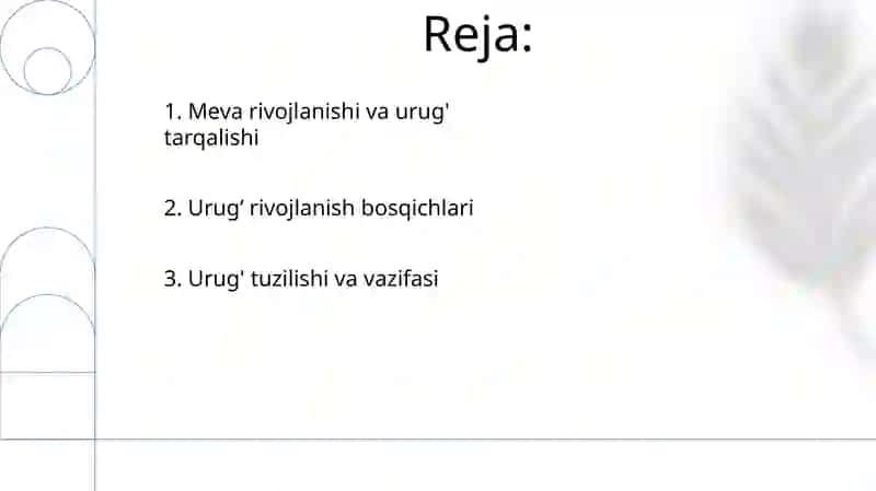 Urugʻ va meva Urugʻning rivojlanishi 2