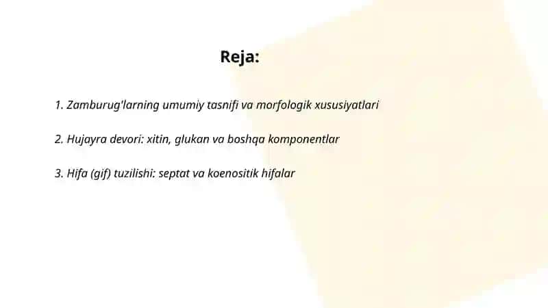 Zamburug'lar. Ularning morfologiyasi, strukturasi va ularni o'rganish usullari 2