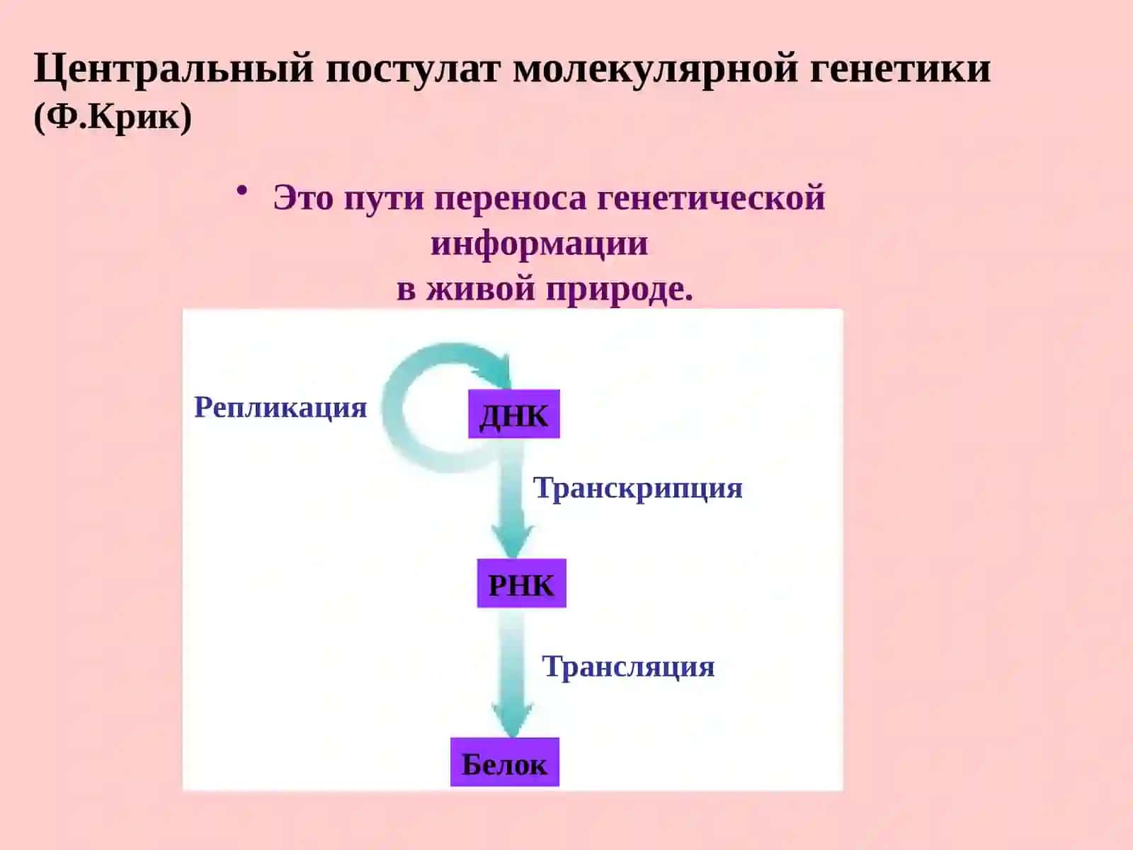 Биохимия и молекулярная биология 2