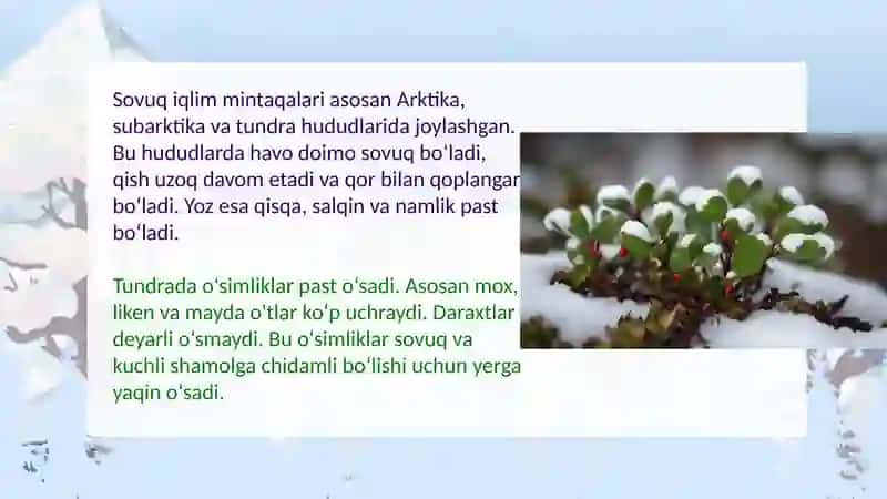 Sovuq iqlim mintaqalarining tabiat zonalari: o‘simlik va hayvonot dunyosi 2