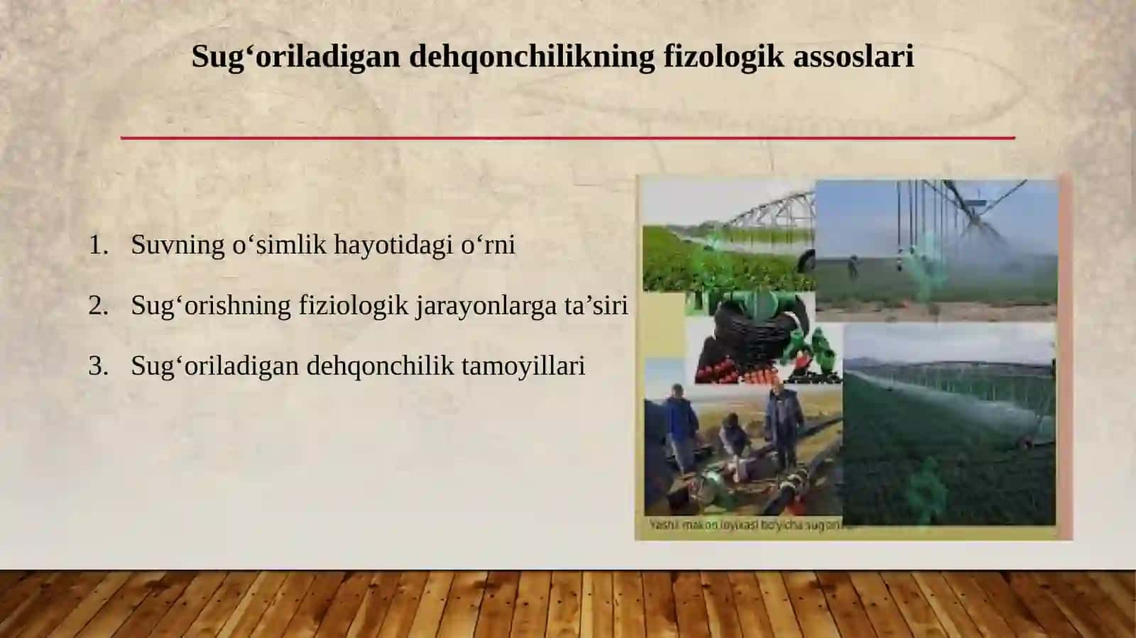 Sirtqi taʼlim biologiya yoʻnalishi 2