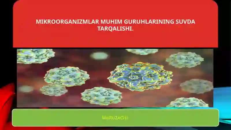 Mikrobiologiya va virusologiya 2