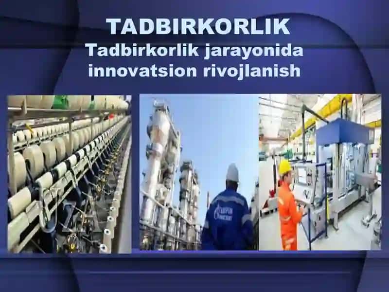 Tashkilotlarda innovatsion rivojlanishning iqtisodiy kategoriyalari 2