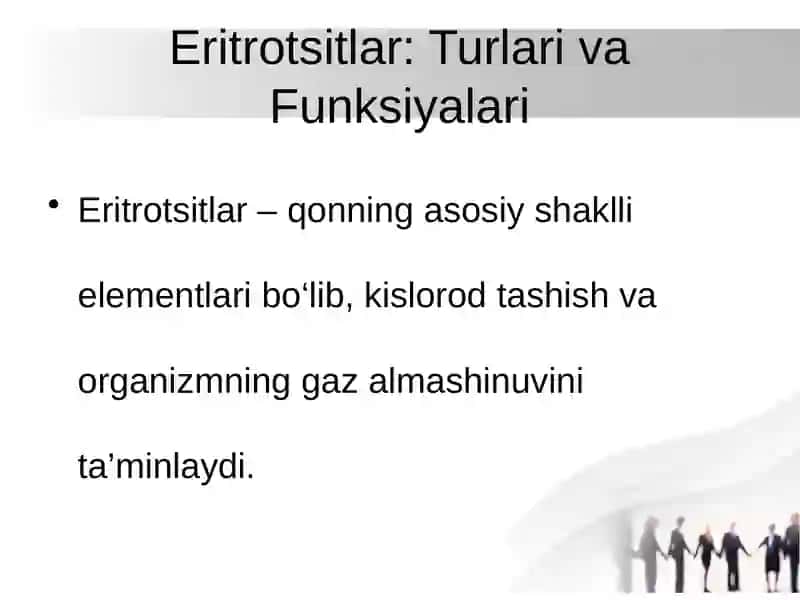 Eritrotsitlar: Turlari va Funksiyalari 2