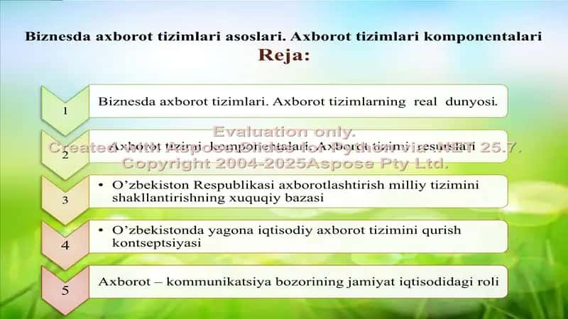 Biznesda axborot tizimlari asoslari. Axborot tizimlari komponentalari 2