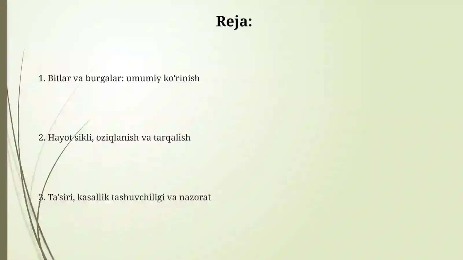 Bitlar va burgalar: umumiy ko'rinish 2