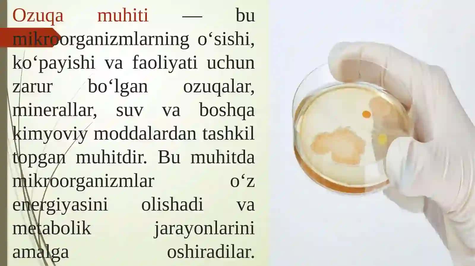 Ozuqamuhitlari,tasnifivaungaqo’yilgantalablar 2