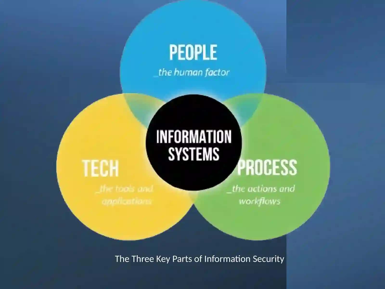The Human Factor in Cybersecurity 2