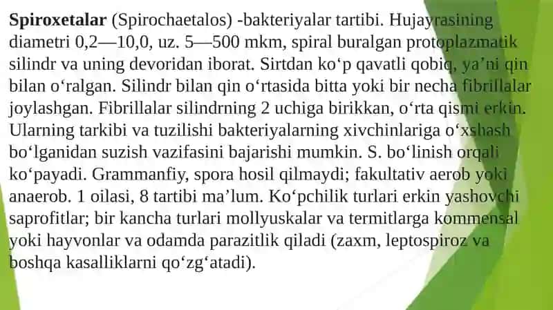 Patogen spiroxetalar va boshqa teri-tanosil infeksiyalari qo’zg’atuvchilari: zaxm, qaytalama tif. 2