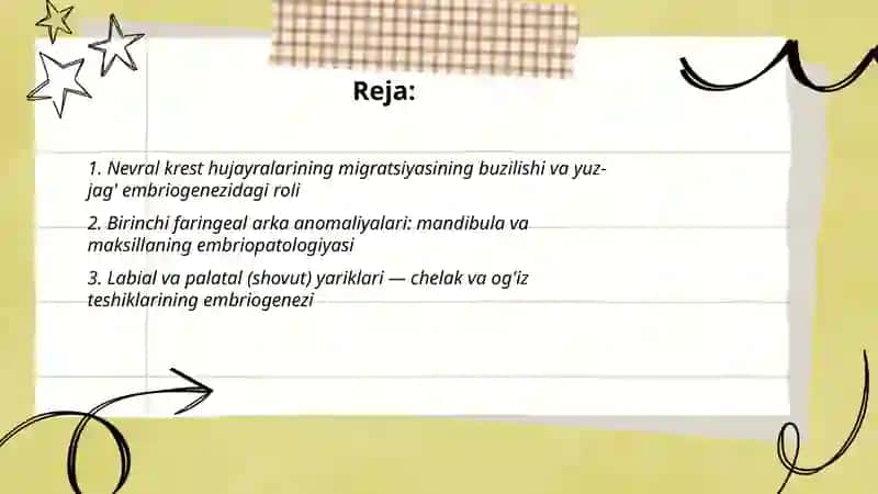 Yuz-jag' sohasi embriogenezi davri patalogiyalari 2