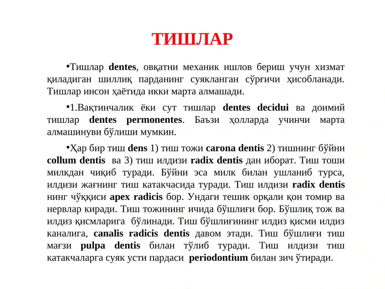Тишлар 2