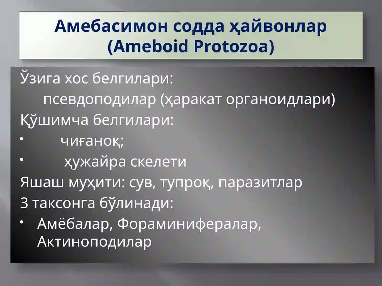 Protozoa кенжа дунёси (Бир ҳужайралилар) 2