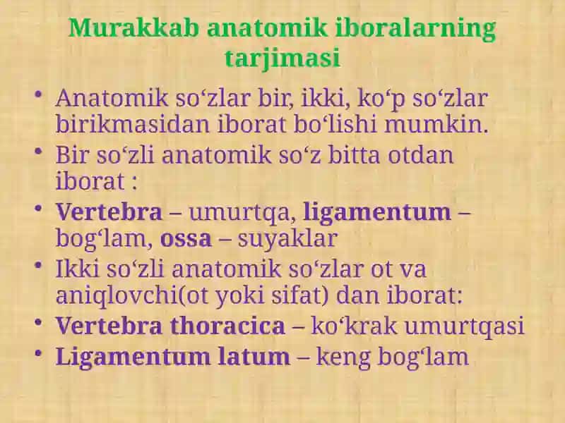 Murakkab Anatomik Iboralarni Tarjima Qilish. Mushaklarning Nomlanishi 2