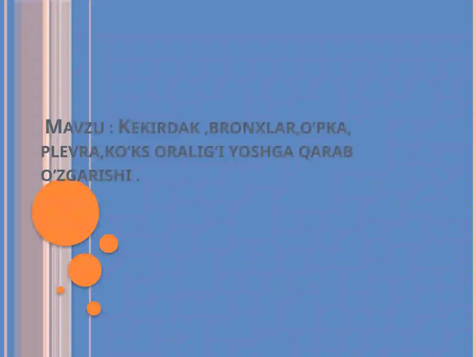 Kekirdak, bronxlar va o'pka normal anatomiyasi 2