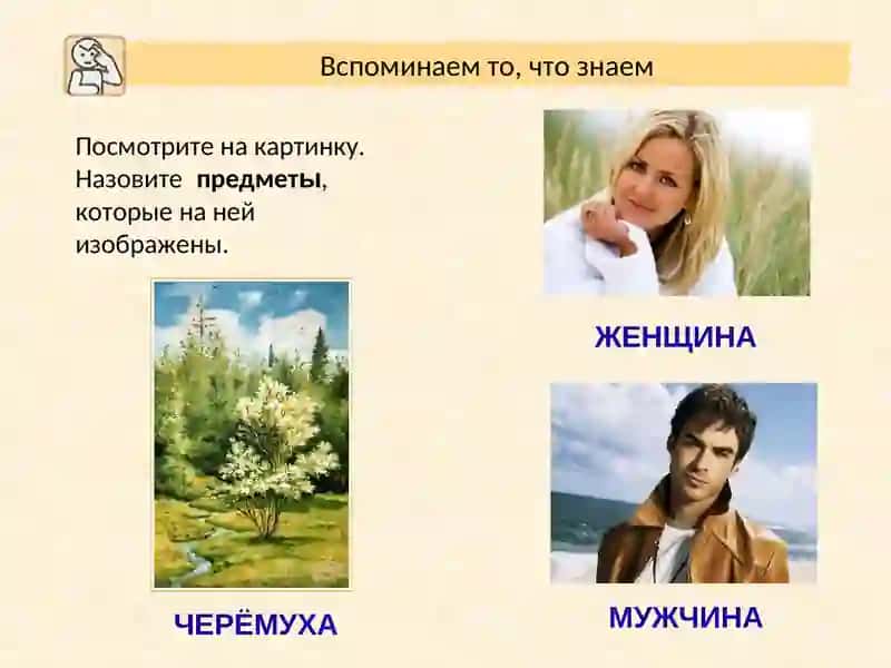 Род имён существительных 2