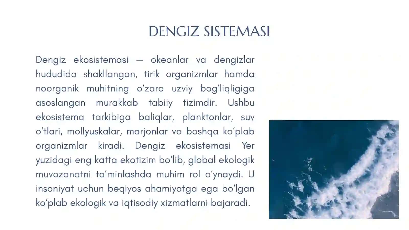 Dengiz sistemasi. Xizmatlari 2
