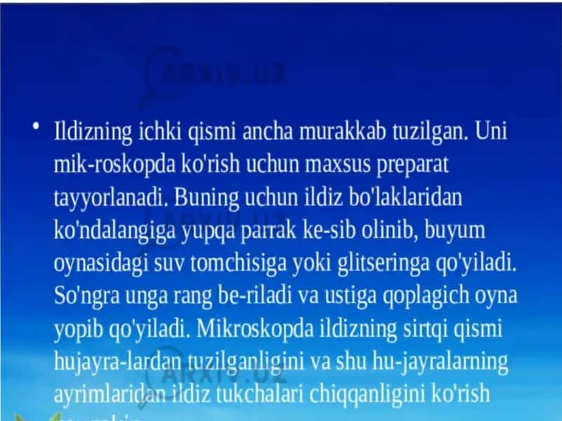 Taqdimot shabloni biologiya 2