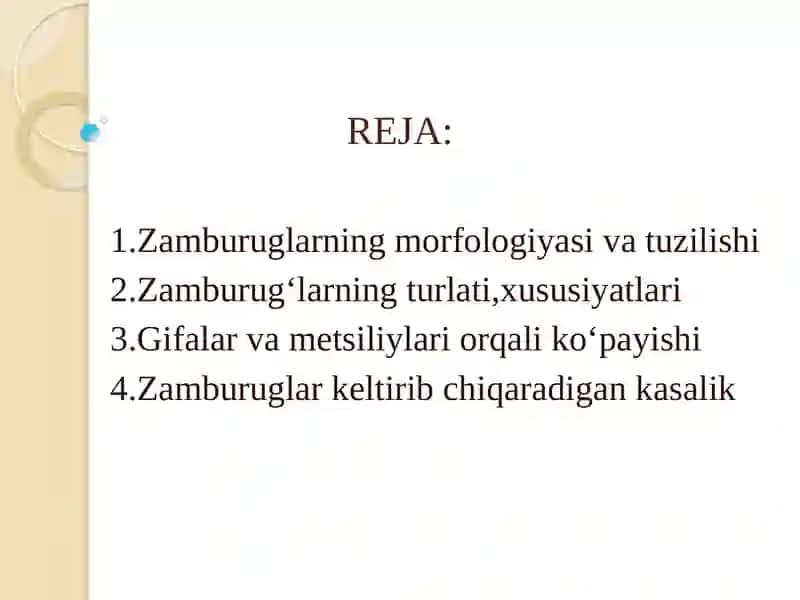 ZAMBURUG'LAR.ULARNING MORFOLOGIYASI, STRUKTURASI VA ULARNI O'RGANISH USULLARI 2