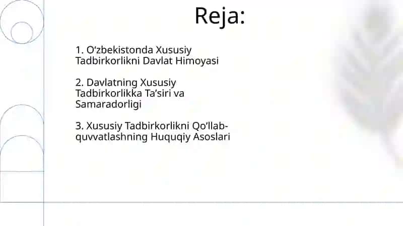 Oʻzbekistonda Xususiy Tadbirkorlikni Davlat Himoyasi 2