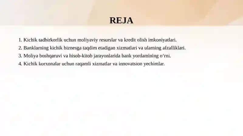 Kichik tadbirkorlik uchun moliyaviy resurslar va kredit olish imkoniyatlari 2