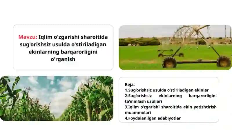 Iqlim o'zgarishi sharoitida sug'orishsiz usulda o'stiriladigan ekinlarning barqarorligini o'rganish 2