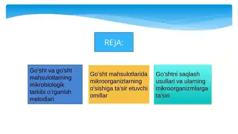 Go’sht va go’sht mahsulotlarning mikrobiologik xususiyatlari 2