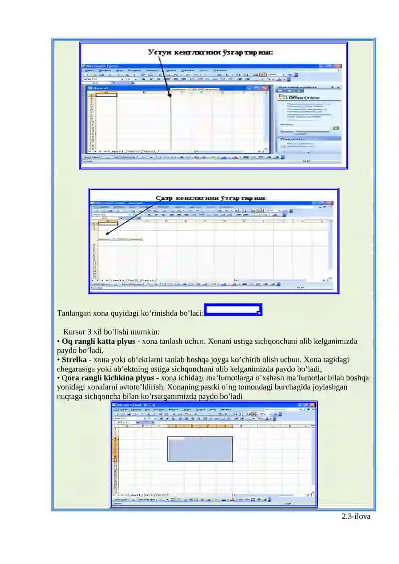 Elektron jadval muharrirlari. MS Excel dasturi 2