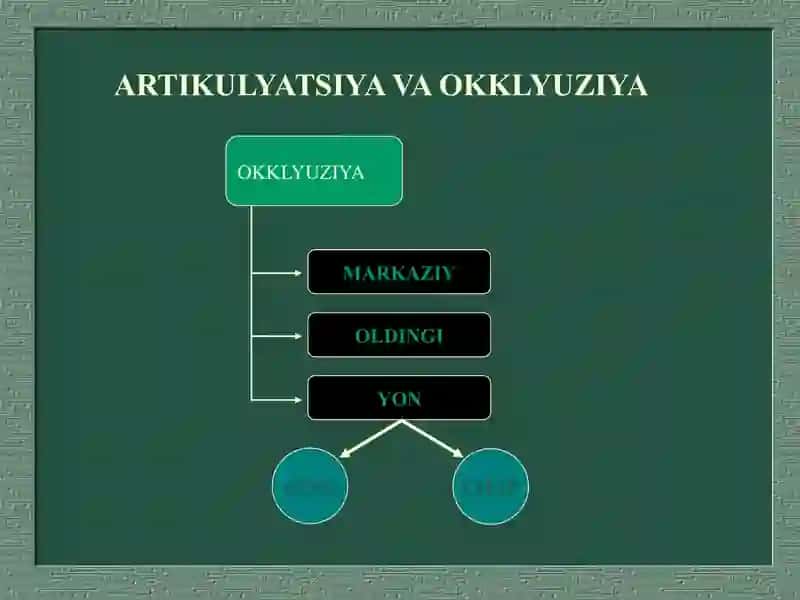 Ortopedik stomatologiya bo‘limida Artikulatsiya va oklyuziya, ularning turlari 2