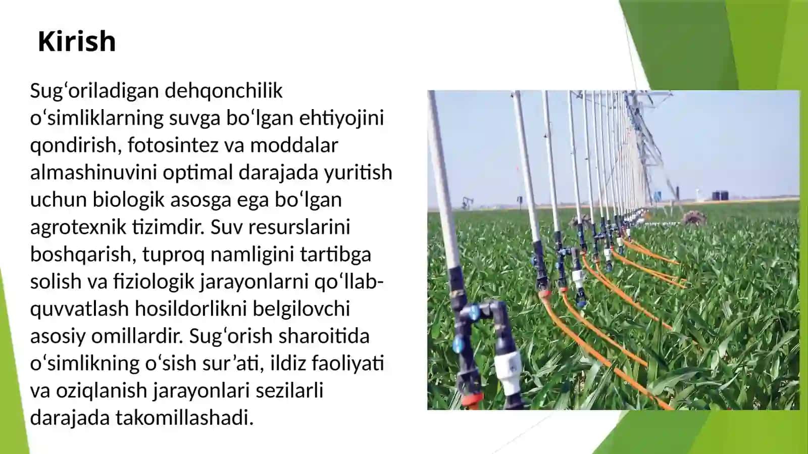 Sugʻoriladigan dehqonchilikning fiziologik asoslari 2