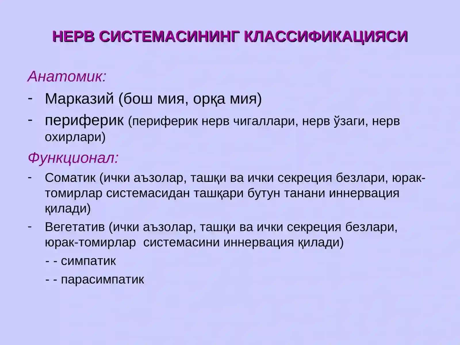 НЕРВ СИСТЕМАСИНИНГ АНАТОМИЯСИ 2