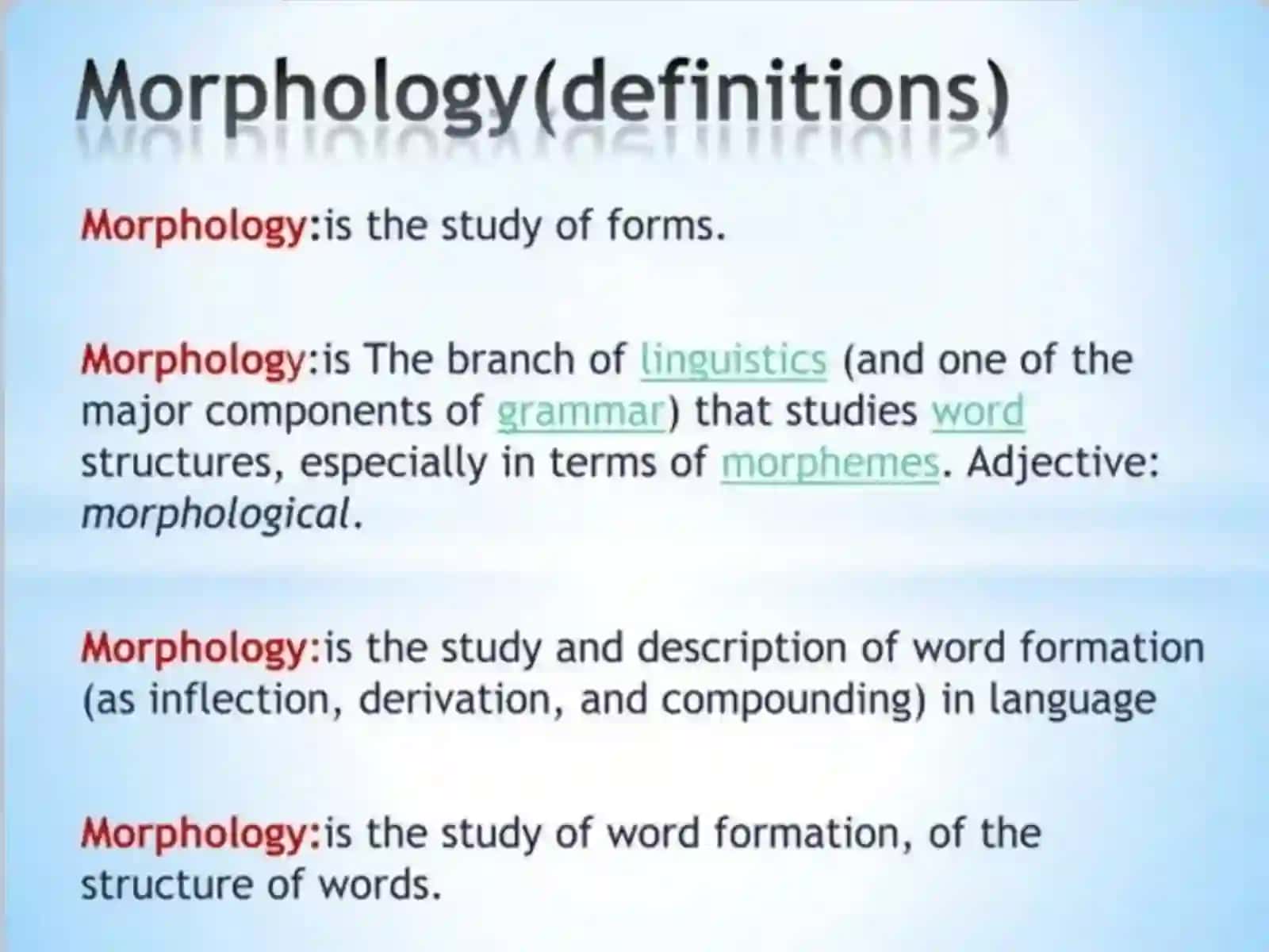 MORPHOLOGY 2