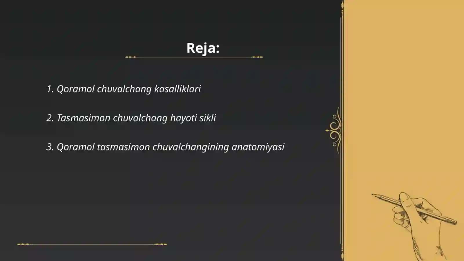 Qoramol tasmasimon chuvalchangi 2
