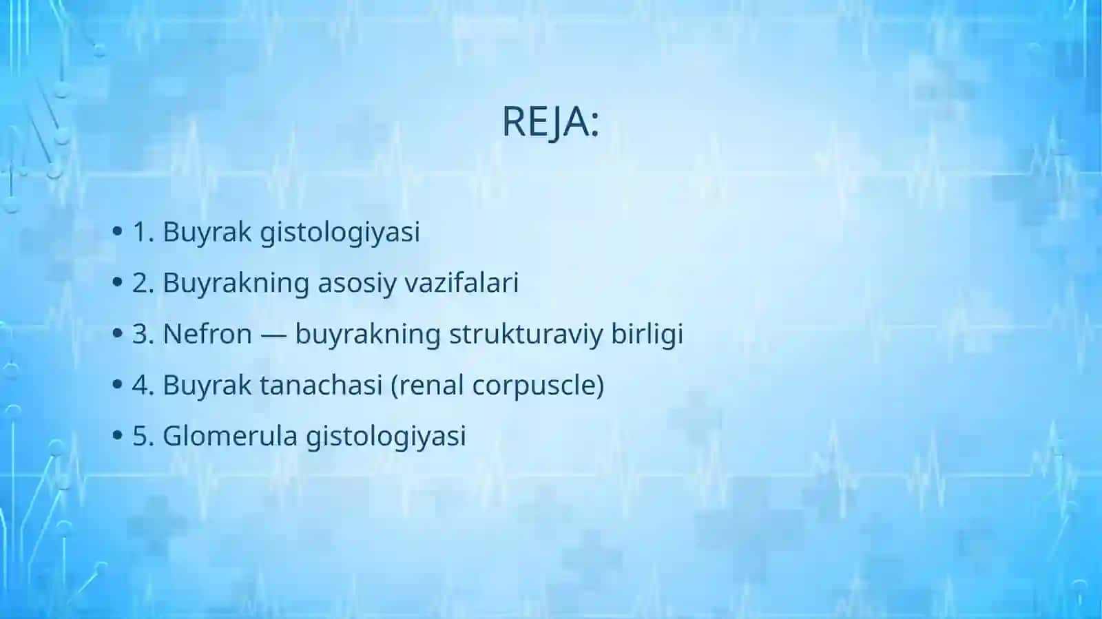 BUYRAK GISTOLOGIYASI 2