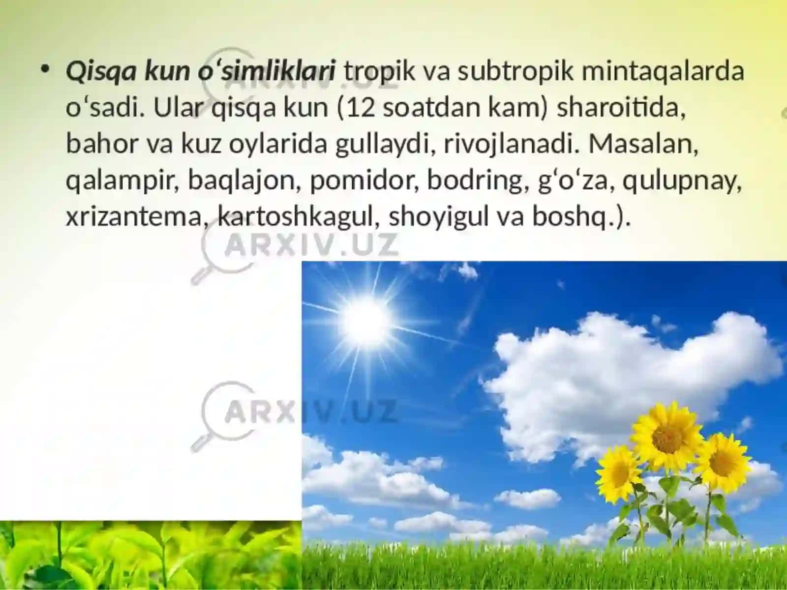 O'simliklar Oziqlanishi 2