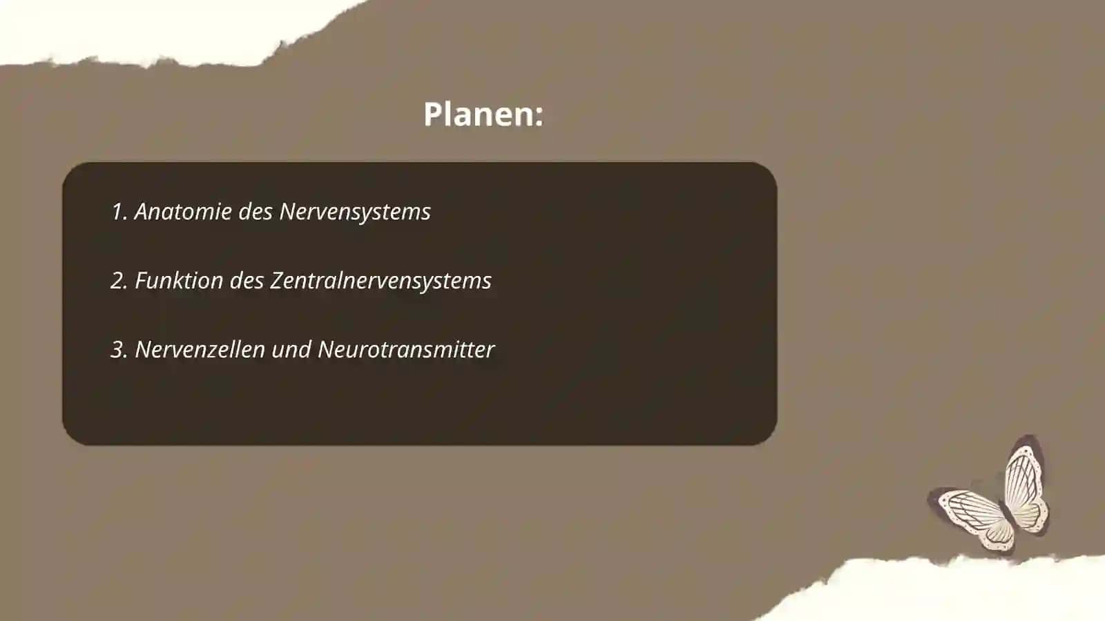 Nervensystem 2