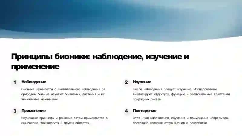 Основы бионики и эё место в жизни человека 2