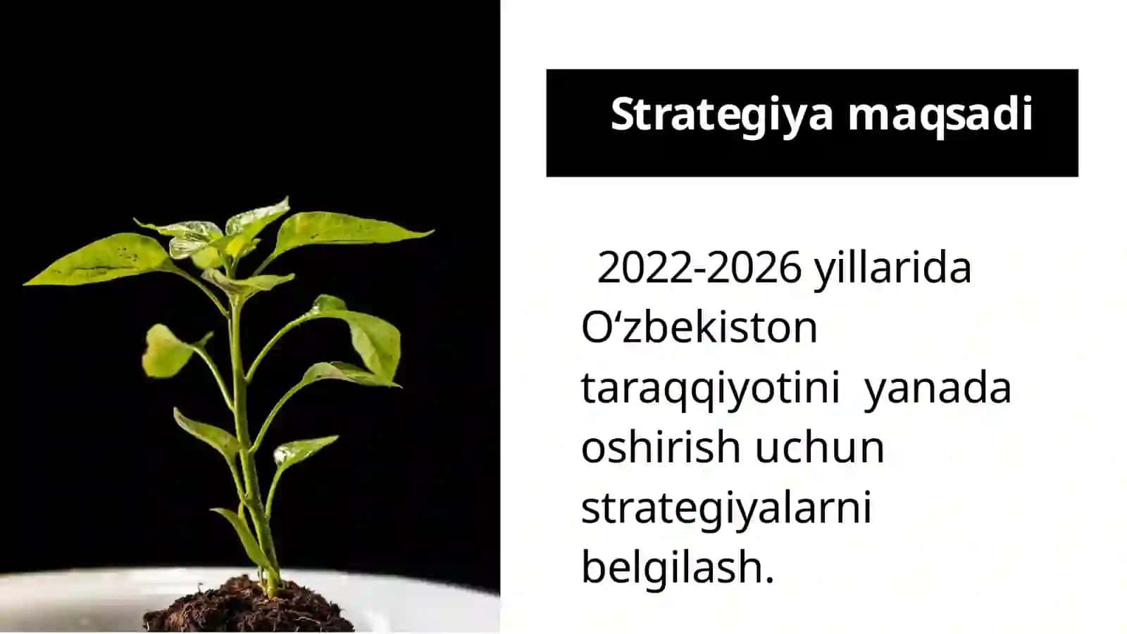 2022-2026 yillarga mo'ljallangan yangi o'zbekistonning taraqqiyot strategiyasi to'g'risida 2