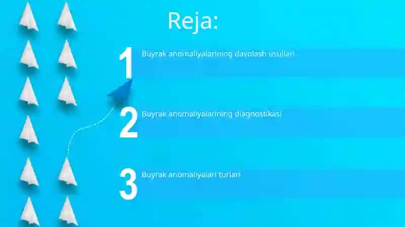 Buyrak ektopiyasi 2
