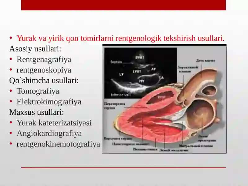 Yurak va yirik qon tomirlari tekshirishi 2