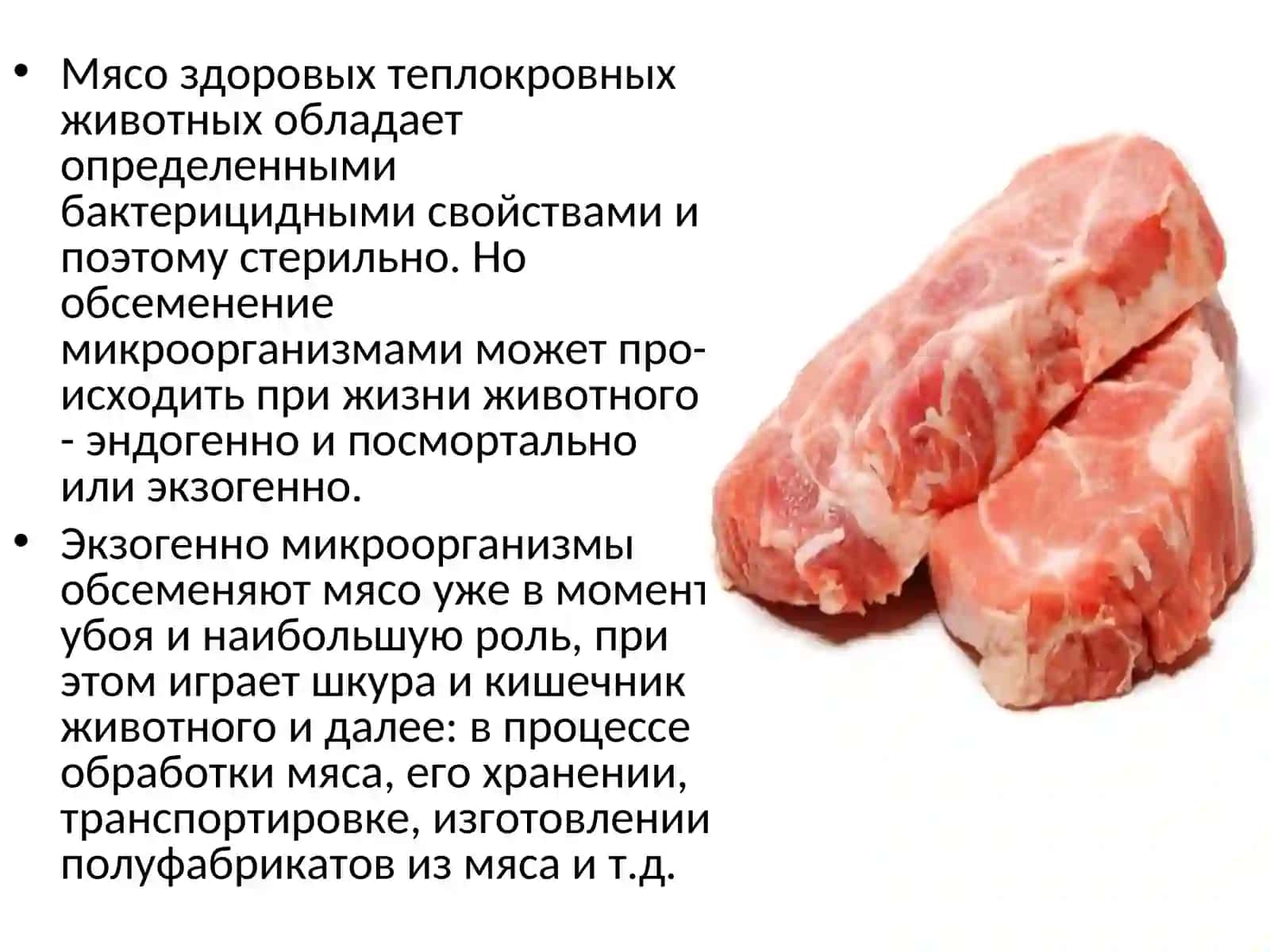 МИКРОФЛОРА МЯСА И МЯСНЫХ ПРОДУКТОВ 2