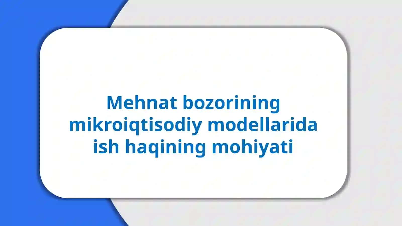 Mehmatbozorining mikroiqtisodiy modellarida ish haqining mohiyati 2