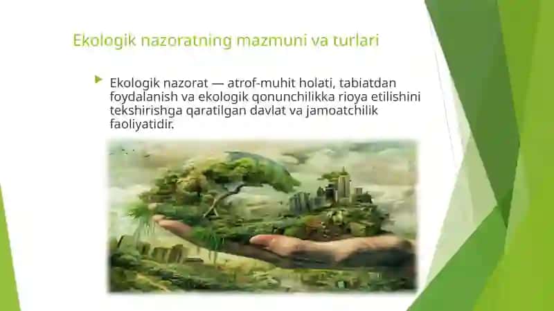 Ekologik nazorat, ekologik monitoring va ekologik ekspertiza 2