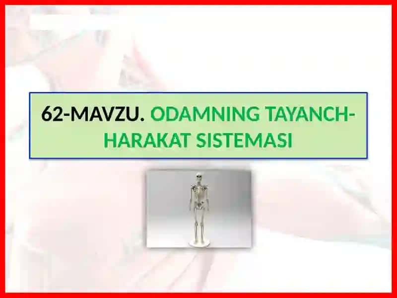 ODAMNING TAYANCH-HARAKAT SISTEMASI 2