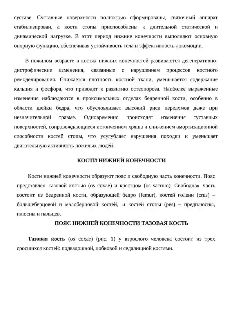 ВОЗРАСТНЫЕ ОСОБЕННОСТИ КОСТЕЙ НИЖНИХ КОНЕЧНОСТЕЙ 2