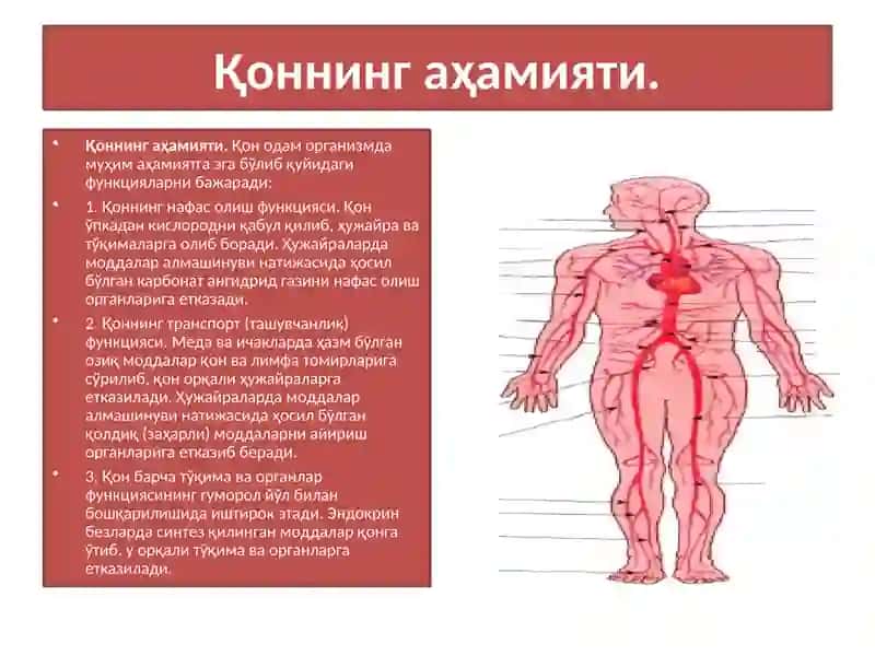 ЮРАКваҚOН АЙЛАНИШOРГАНЛАРИНИНГЁШ ХУСУСИЯТЛАРИ 2
