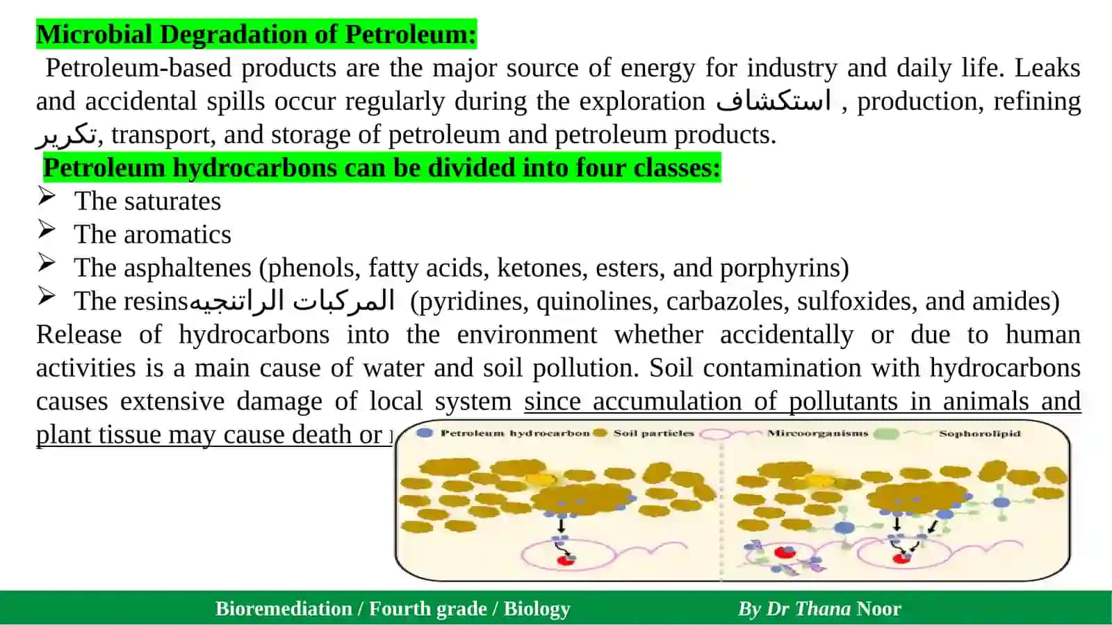 Bioremediation / Fourth grade / Biology By Dr Thana Noor 2