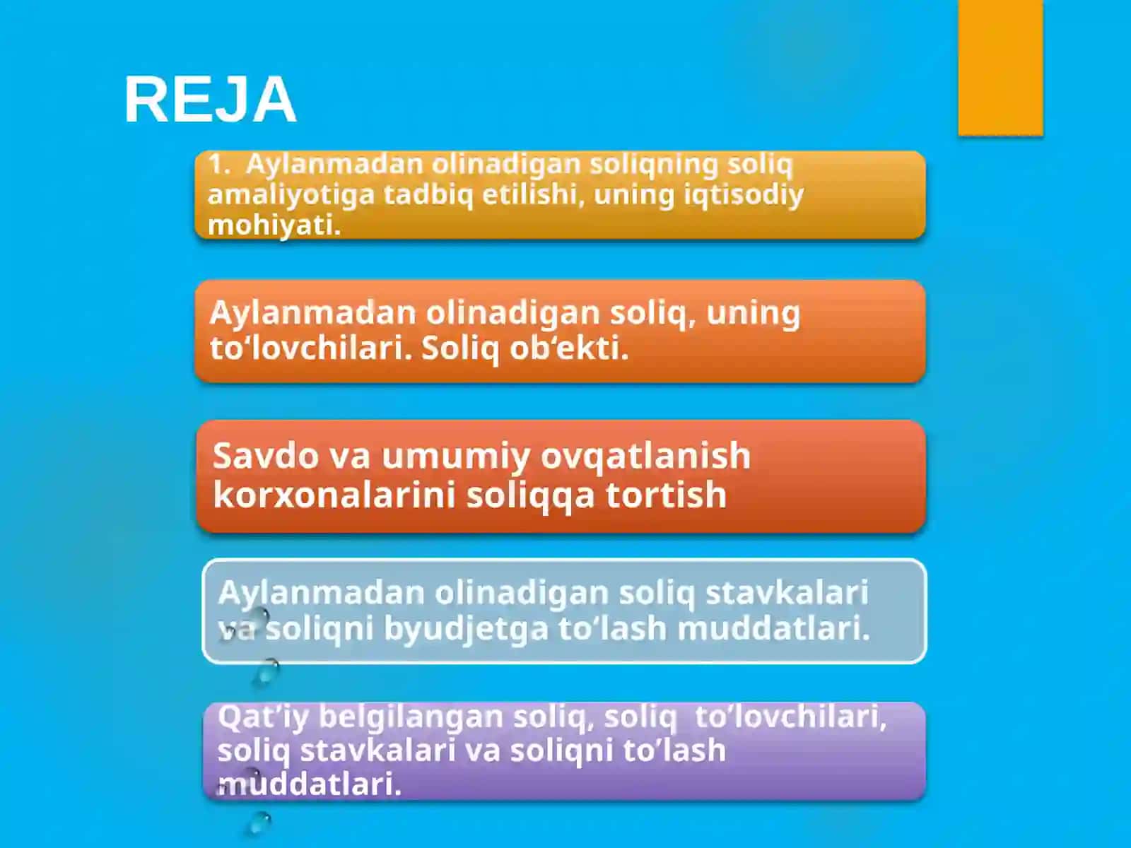 SODDALASHGAN SOLIQQA TORTISH TIZIMIDA SOLIQ HISOBINI TASHKIL ETISH VA YURITISH 2