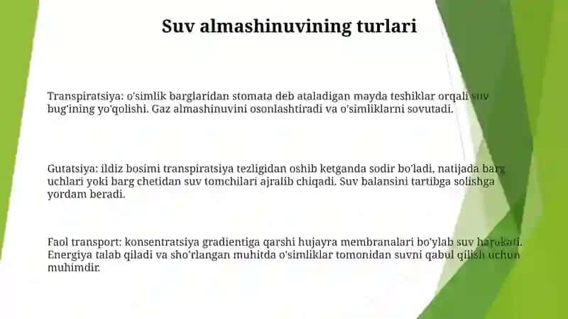 Turli Ekologik Òsimlik Guruhlarida Suv Almashinuvi 2